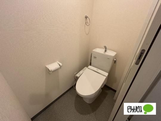 �y���̑��z�@�g�C��