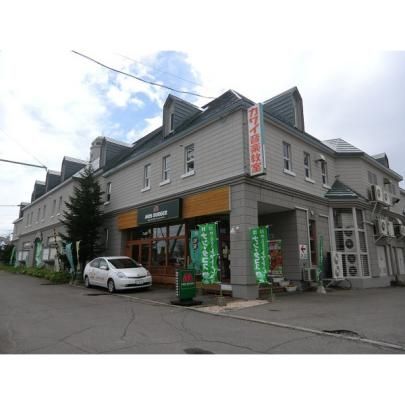 ���C���{�[���B���b�W