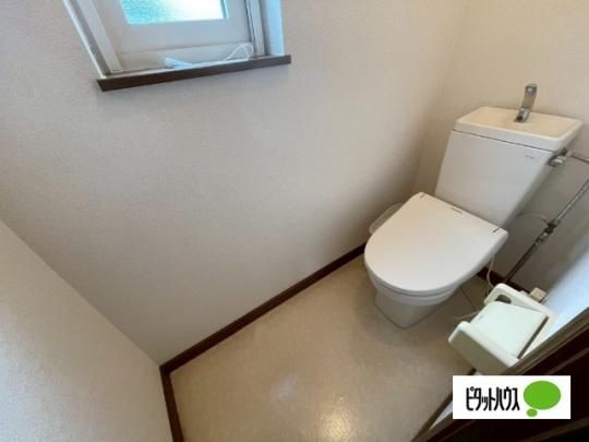 �y���̑��z�@�g�C��