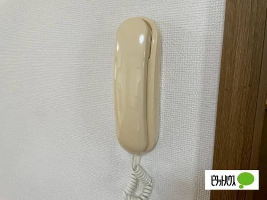 �y���̑��z�@�Z�L�����e�B