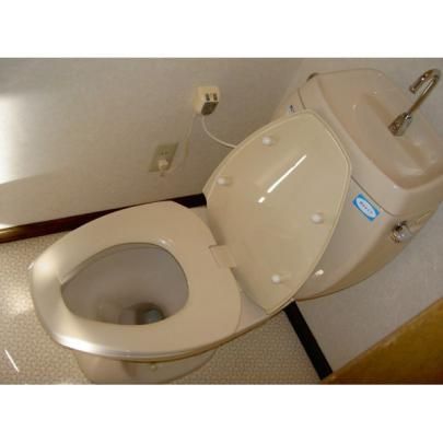 �y���̑��z�@�g�C��