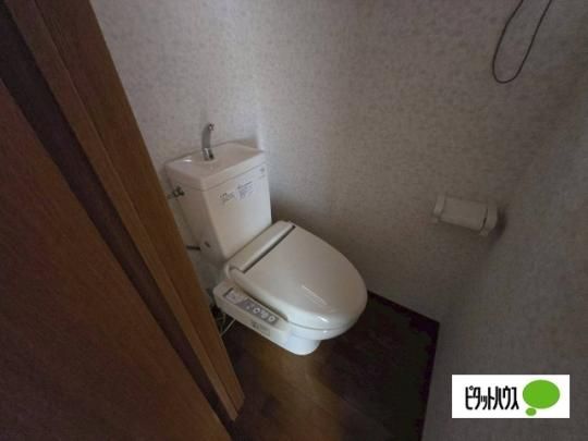 �y���̑��z�@�g�C��