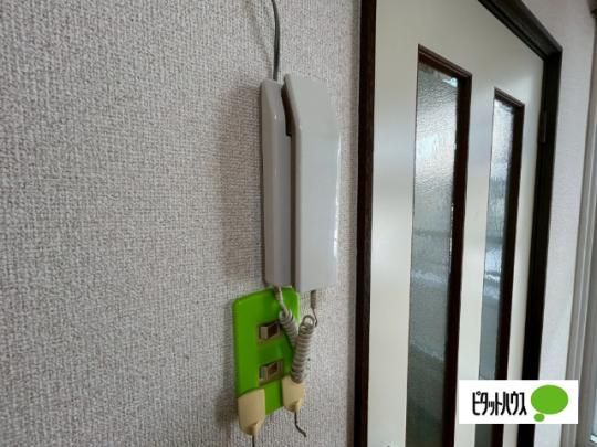 �y���̑��z�@�Z�L�����e�B