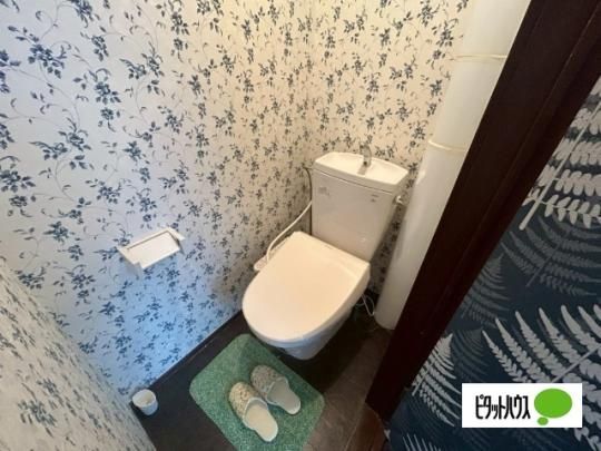�y���̑��z�@�g�C��
