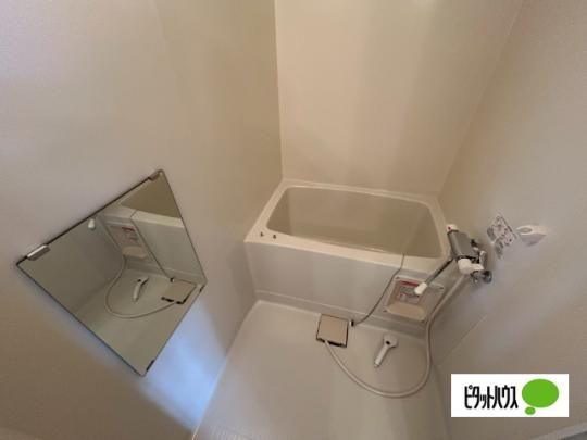 �y���̑��z�@�o�X�^�V�����[