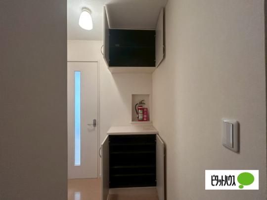 �y���̑��z�@���[