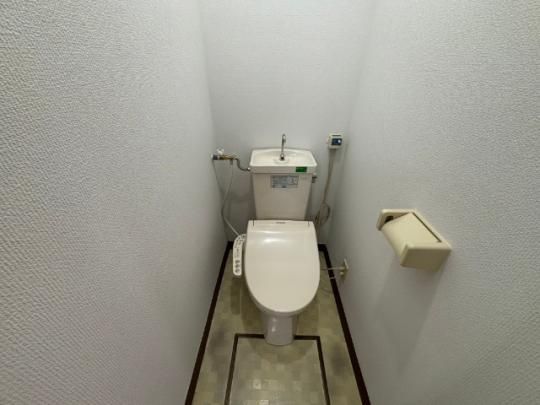 �y���̑��z�@�g�C��