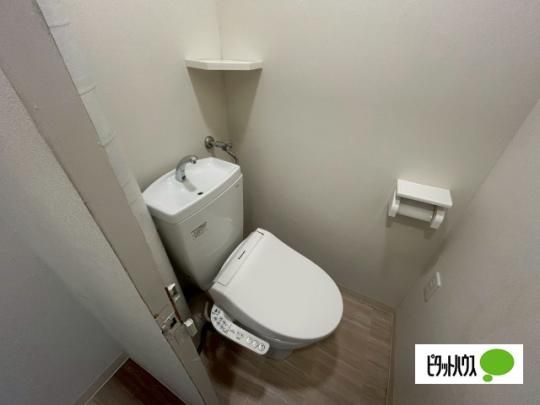 �y���̑��z�@�g�C��