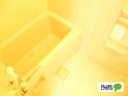 �y���̑��z�@�o�X�^�V�����[