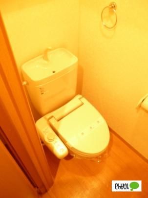 �y���̑��z�@�g�C��