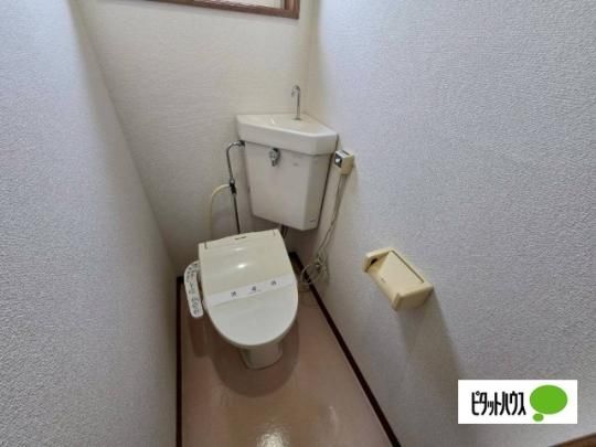 �y���̑��z�@�g�C��