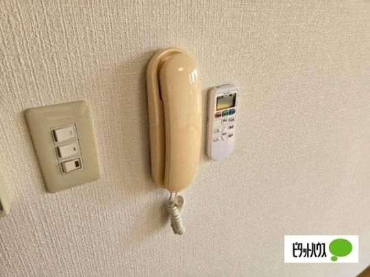 �y���̑��z�@�Z�L�����e�B