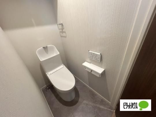 �y���̑��z�@�g�C��