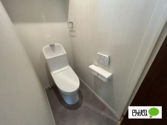 �y���̑��z�@�g�C��
