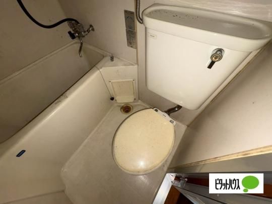 �y���̑��z�@�g�C��