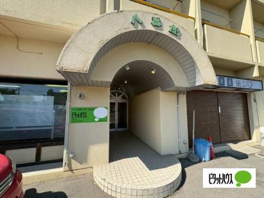 �y�����O�ρz�@�G���g�����X