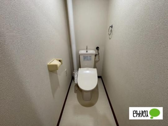 �y���̑��z�@�g�C��