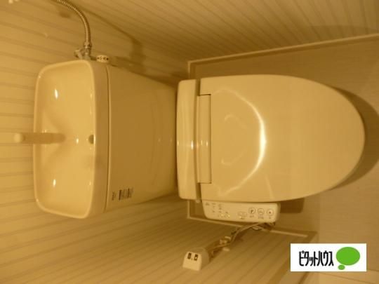 �y���̑��z�@�g�C��