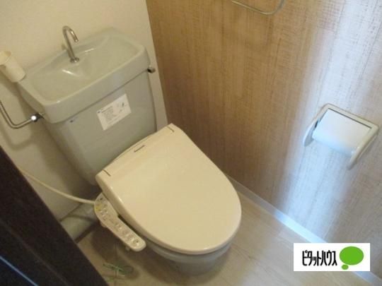 �y���̑��z�@�g�C��