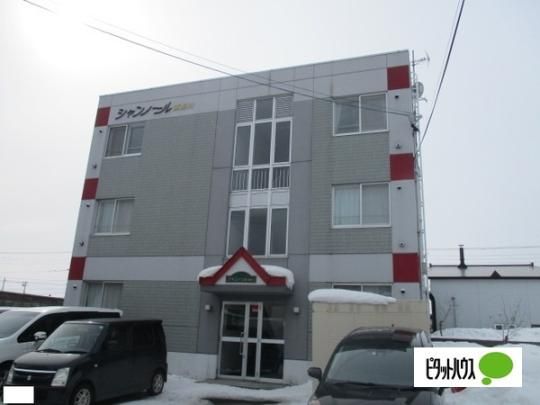 �V�����m�[��������