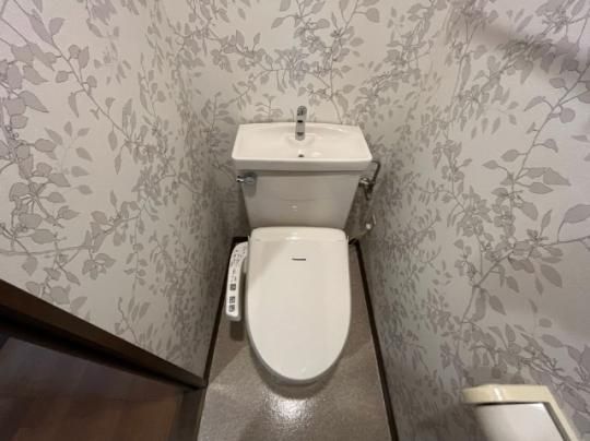 �y���̑��z�@�g�C��