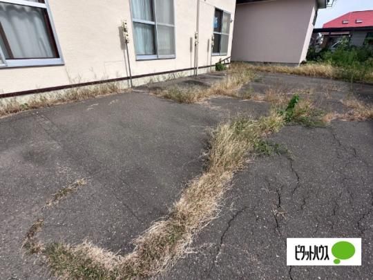 �y�����O�ρz�@�G���g�����X