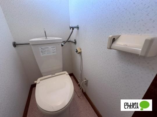 �y���̑��z�@�ݔ�