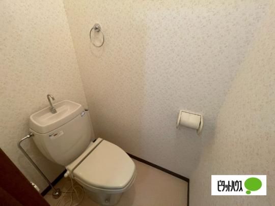 �y���̑��z�@�g�C��