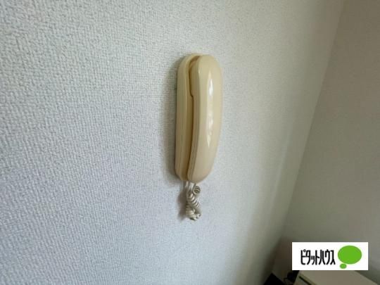 �y���̑��z�@�Z�L�����e�B