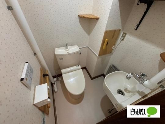 �y���̑��z�@�g�C��