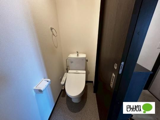 �y���̑��z�@�g�C��