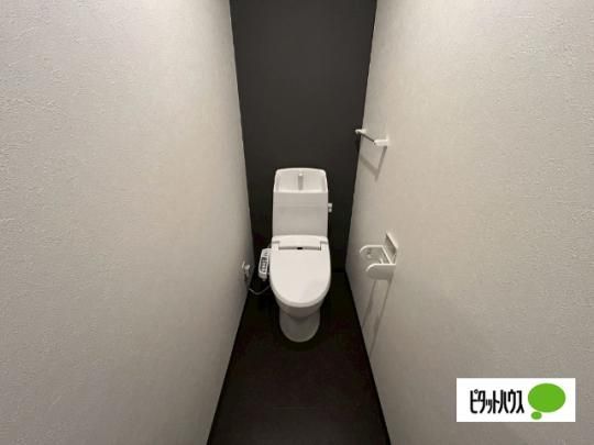 �y���̑��z�@�g�C��