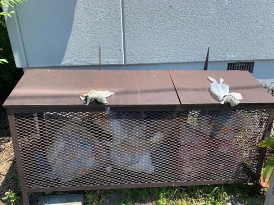 �y�����O�ρz�@���L����