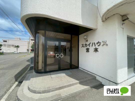 �y�����O�ρz�@�G���g�����X