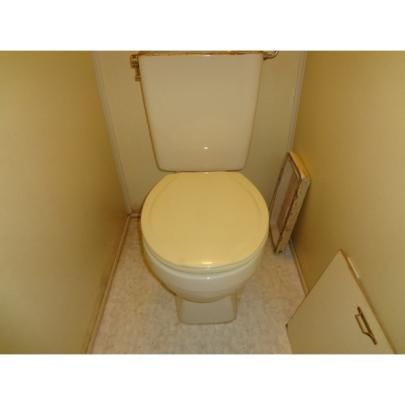 �y���̑��z�@�g�C��