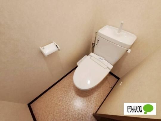 �y���̑��z�@�g�C��