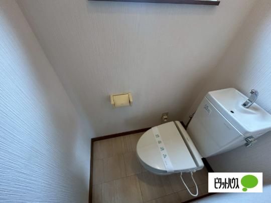 �y���̑��z�@�g�C��
