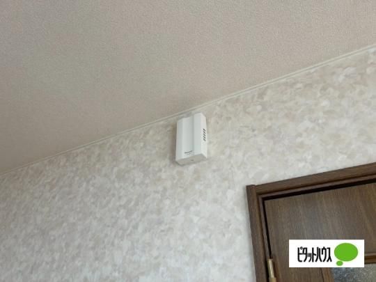 �y���̑��z�@�Z�L�����e�B