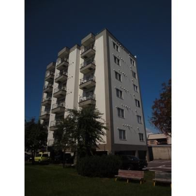 �C�[�O���R�P�P