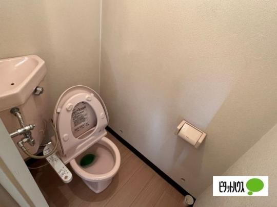 �y���̑��z�@�g�C��