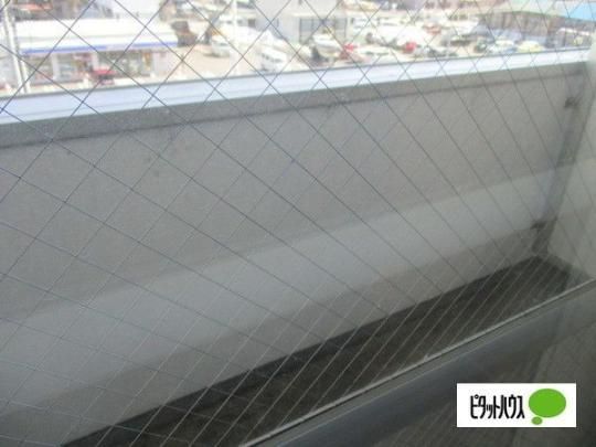 �y���̑��z�@�o���R�j�[