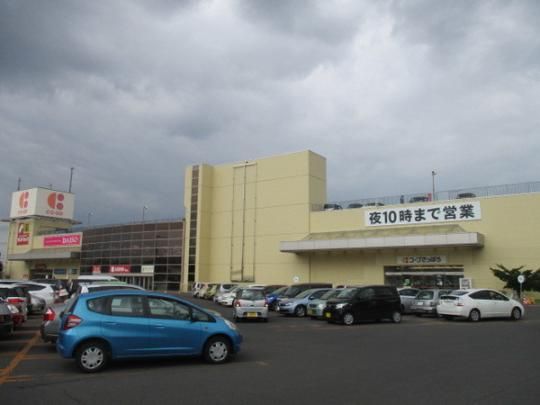 �y���Ӂz�@�R�[�v�����ۂ듌���X�F866m