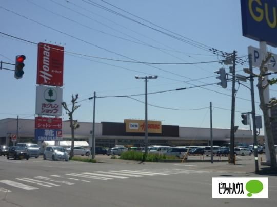 �y���Ӂz�@DCM�z�[�}�b�N�L���X�F1252m