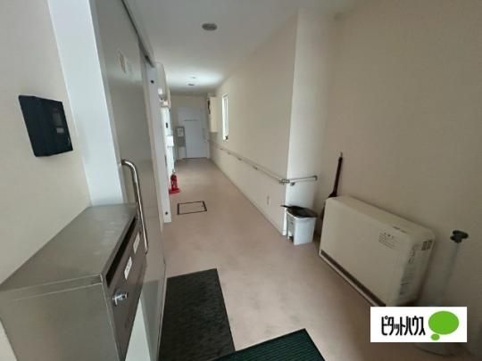 �y�����O�ρz�@���r�[