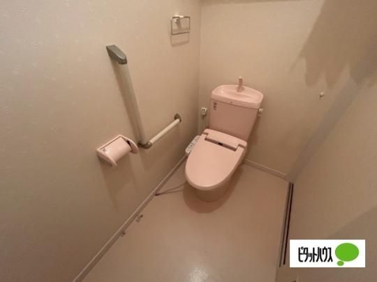 �y���̑��z�@�g�C��