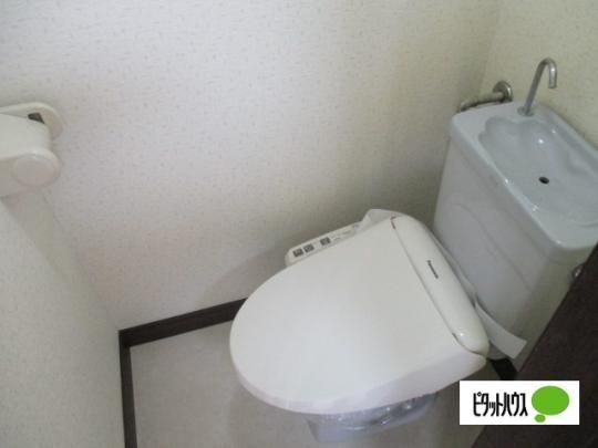 �y���̑��z�@�g�C��