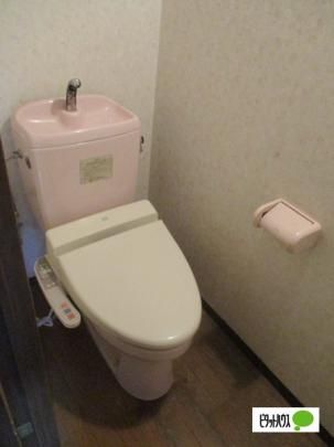 �y���̑��z�@�g�C��