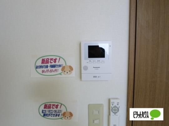 �y���̑��z�@�Z�L�����e�B