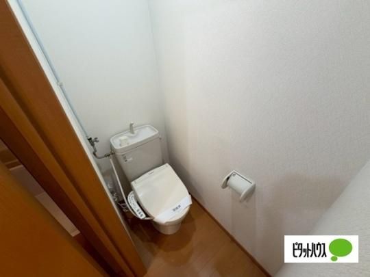 �y���̑��z�@�g�C��