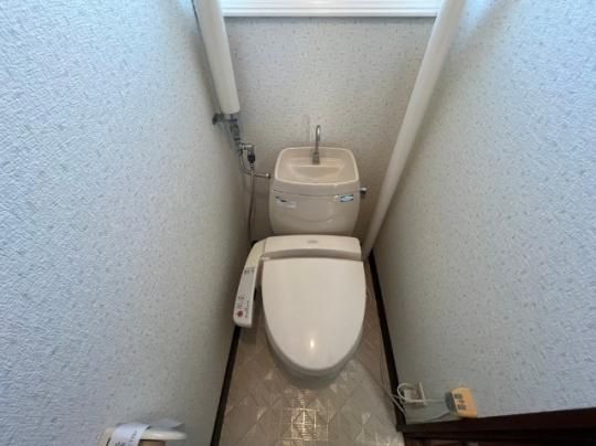 �y���̑��z�@�g�C��